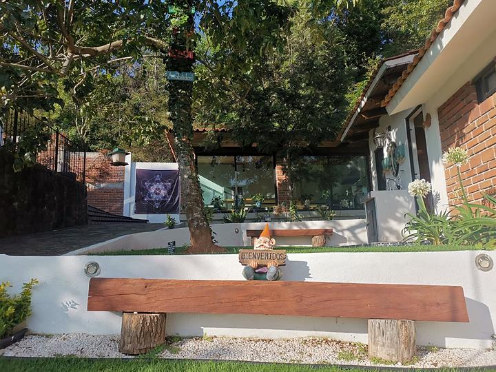 Banca de tronco en el jardín